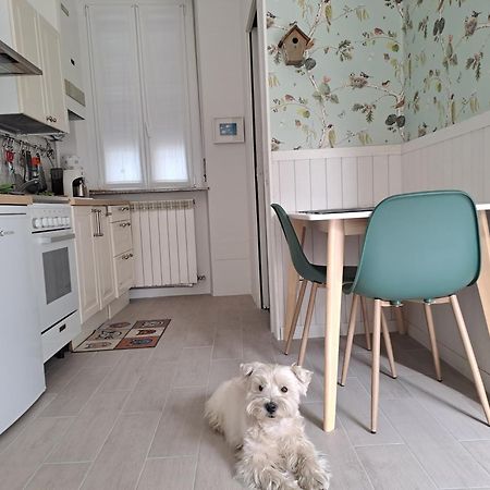 Appartamento Il piccolo nido Gallarate Esterno foto