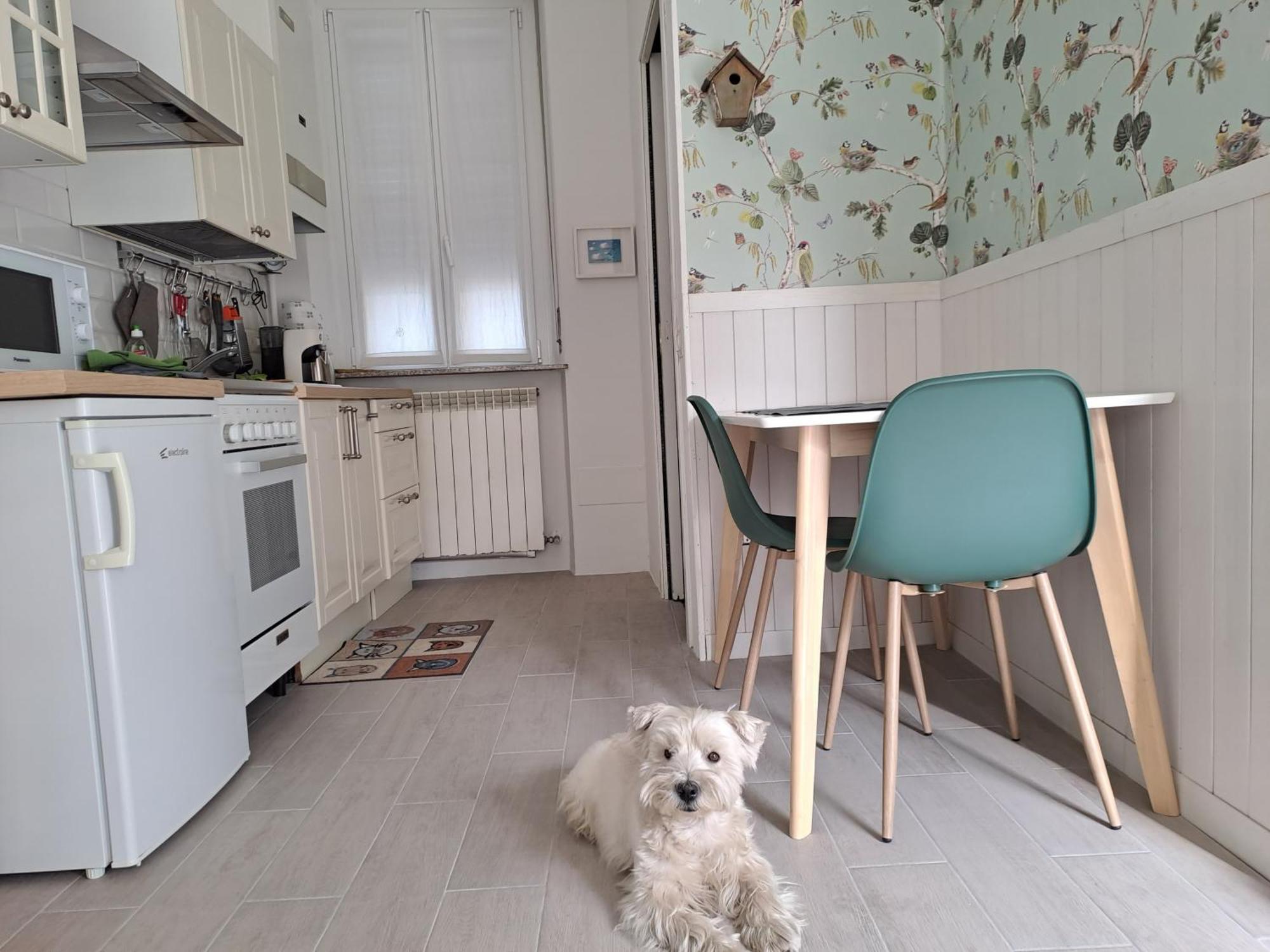 Appartamento Il piccolo nido Gallarate Esterno foto